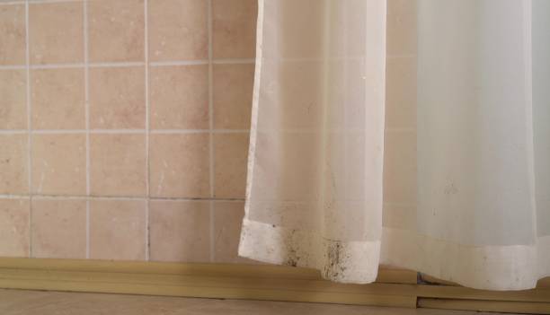 Best Dehumidification Services  in Maywood, NJ