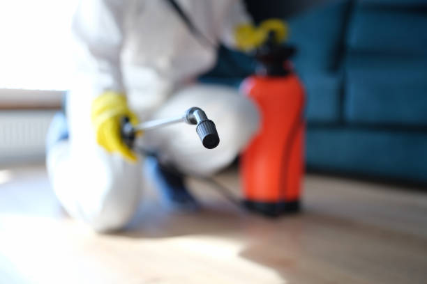 Mold Documentation for Insurance Claims in Maywood, NJ